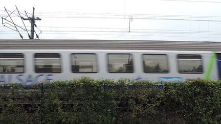 Train