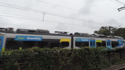 Train