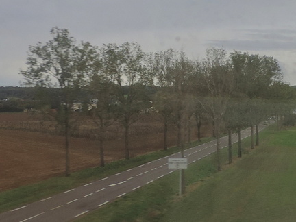 Avenue