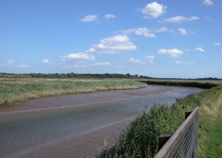 Meander in the river
