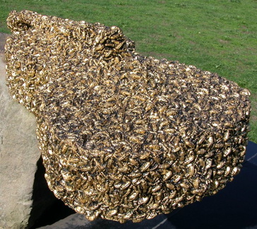 Swarm