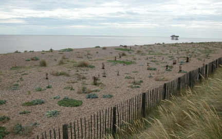 Beach with platform