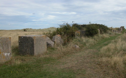 Defences