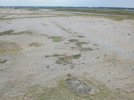 Ground