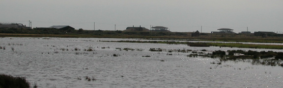 Across lake