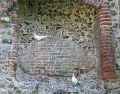 Doves