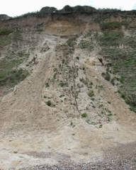 Sand