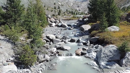 Stream