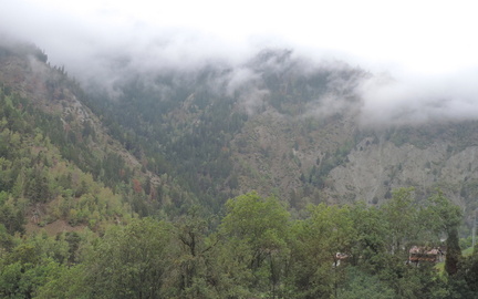 Misty landscape