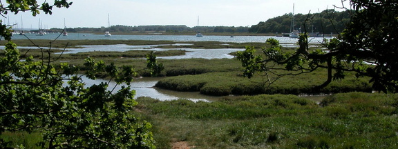 Marshes