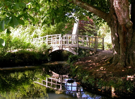 Japanese Bridge