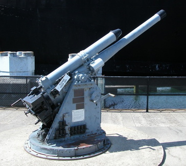 Gun