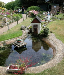 Pond