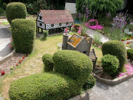Bushes
