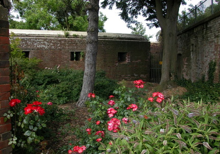 Rose Garden