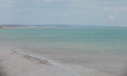 Along the beach