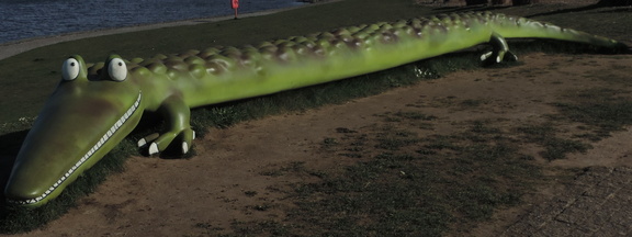Crocodile