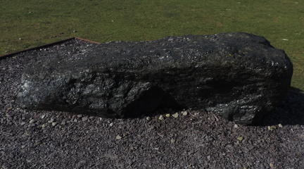 Coal