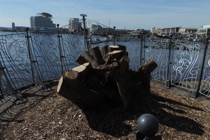 Stump