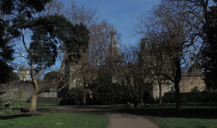 Castle through the trees