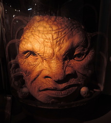 Face of Boe