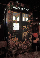Painted TARDIS