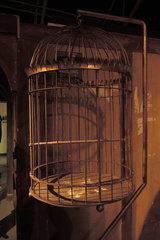 Cage