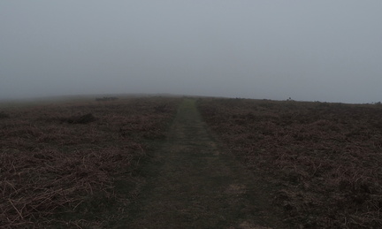 Misty path
