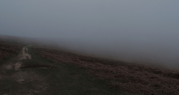 Misty path