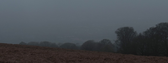 Through the mist