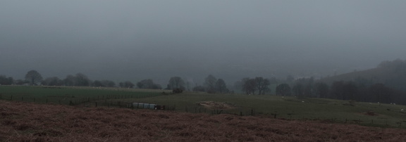 Across the fields
