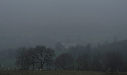 Through the mist
