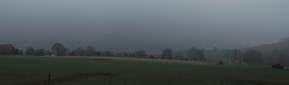 Misty landscape
