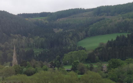 Hillside
