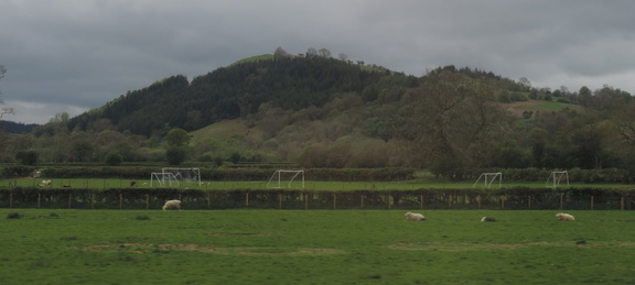 Across the fields