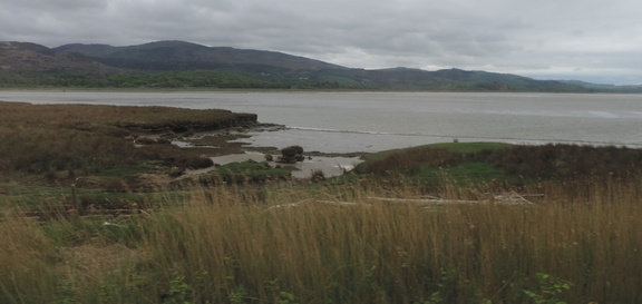 Across the estuary
