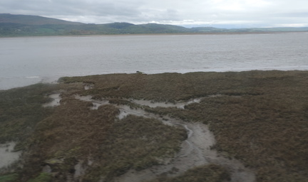 Mud flats