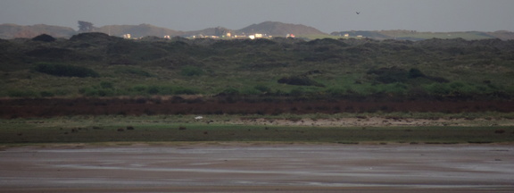 Opposite coast