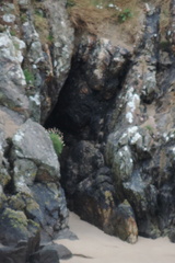 Cave