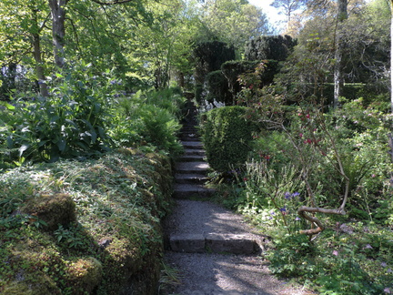 Up the steps