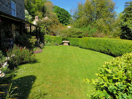 Lawn