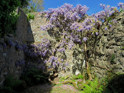 Inside the ruin