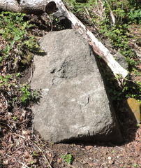 Rock