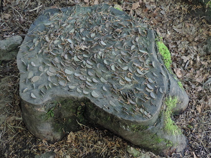 Coin stump