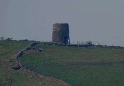 Tower
