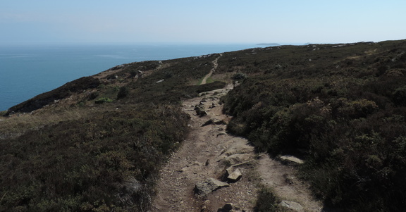 Path