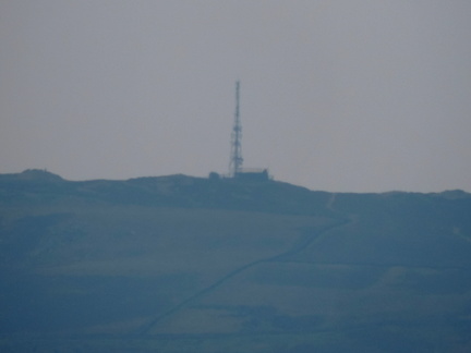Mast