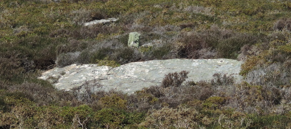 Rocks