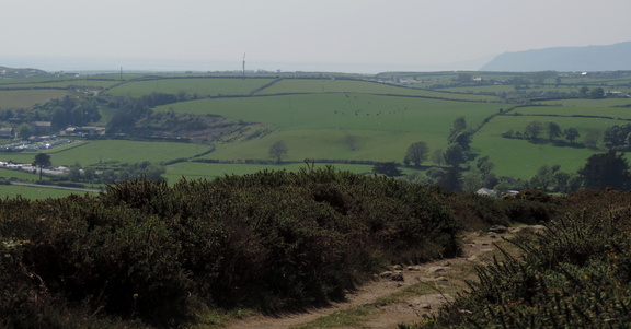 Landscape