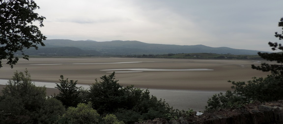 Estuary